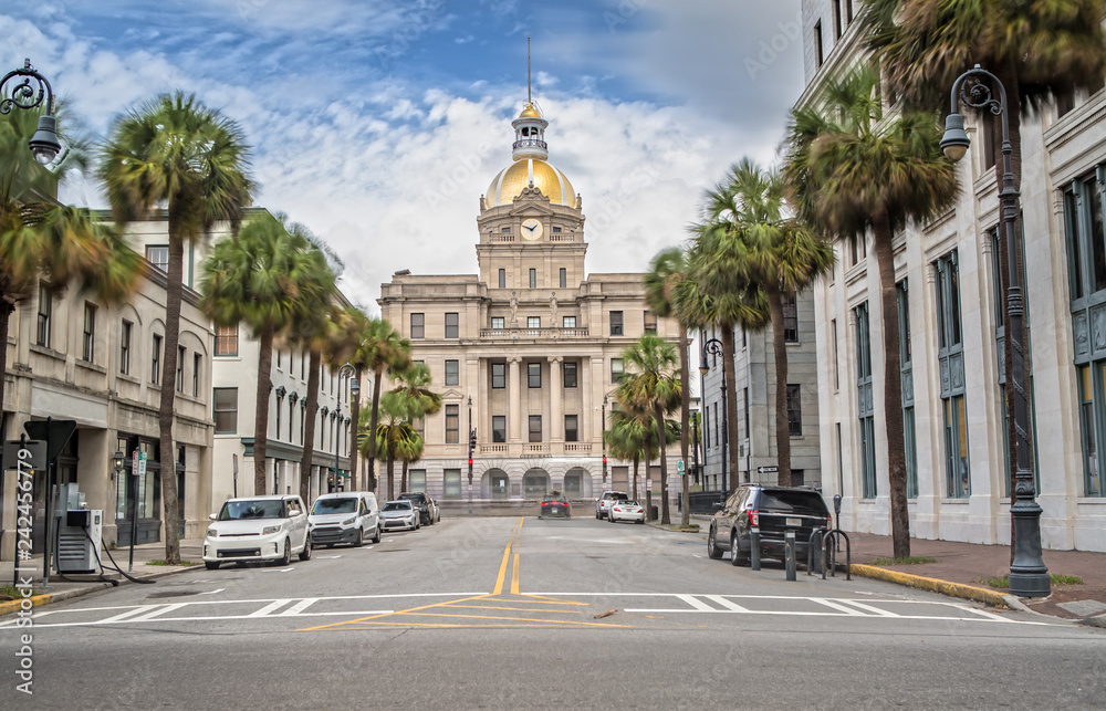 City Hall in Savannah, Georgia GA