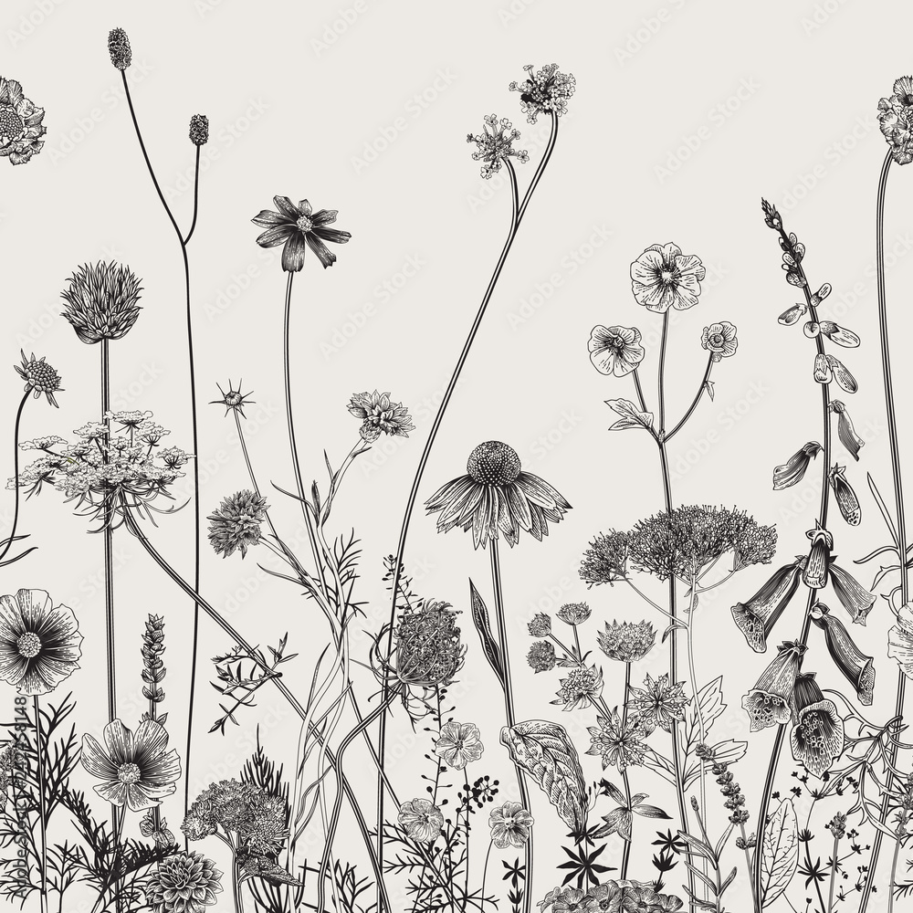 Floral border. Summer flowers. Vector illustration. Black and white - obrazy, fototapety, plakaty 