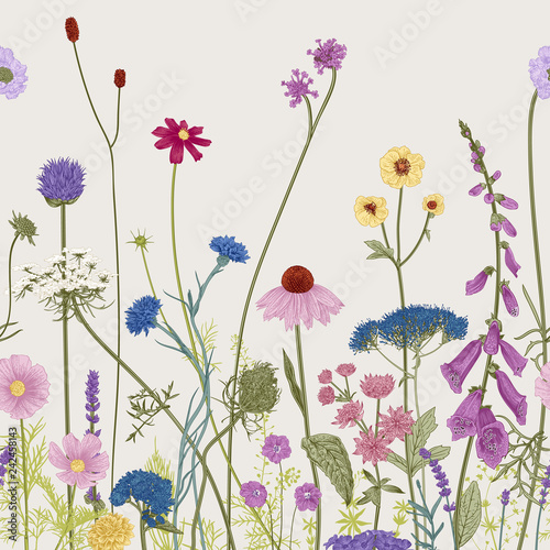 Seamless floral border. Summer flowers. Vector illustration. Colorful