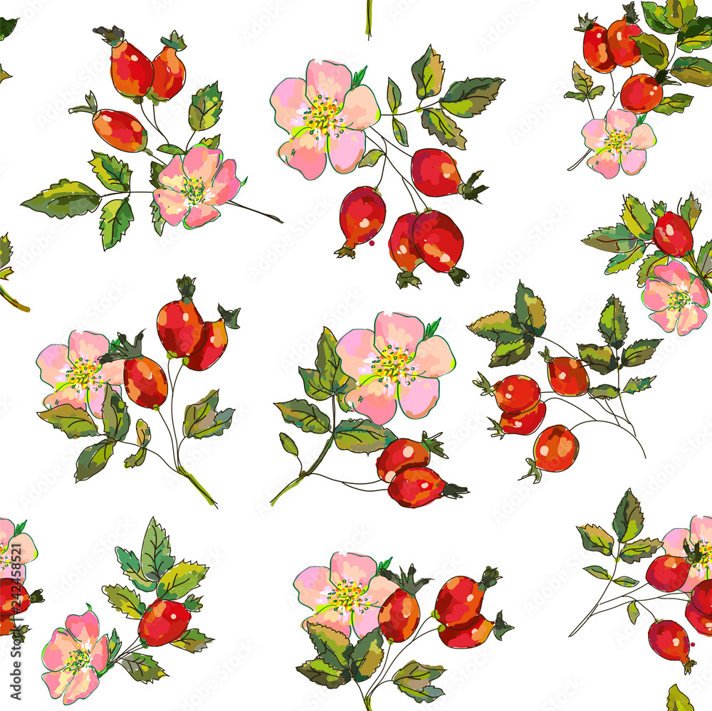 Rosehip berries and flowers seamless pattern. Vector graphic illustration Rosehip berries and flowers seamless pattern. Vector graphic illustration