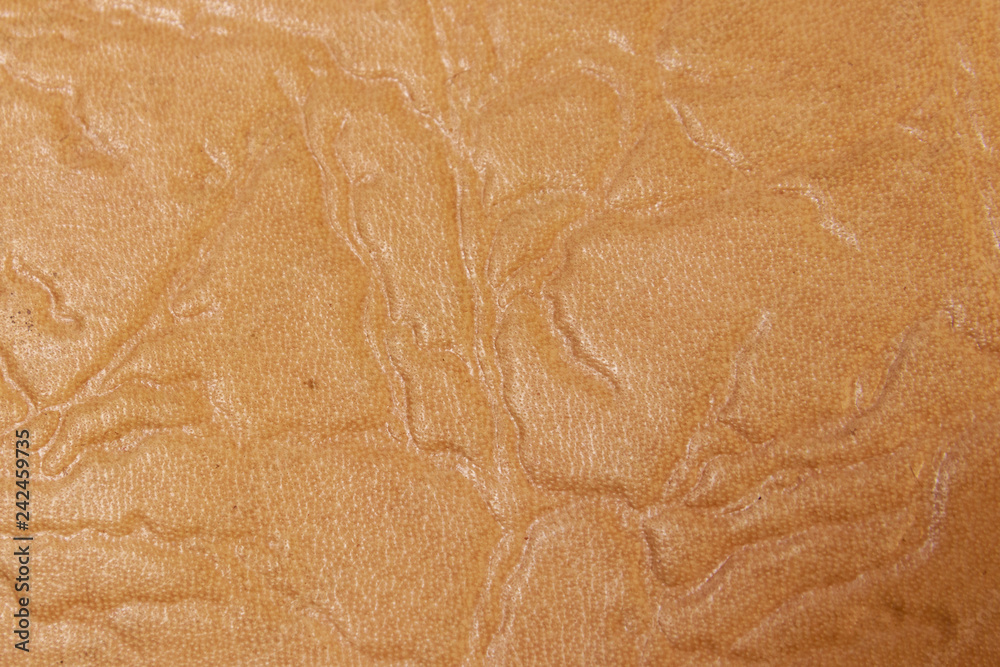 Fototapeta premium Beige leather texture for background