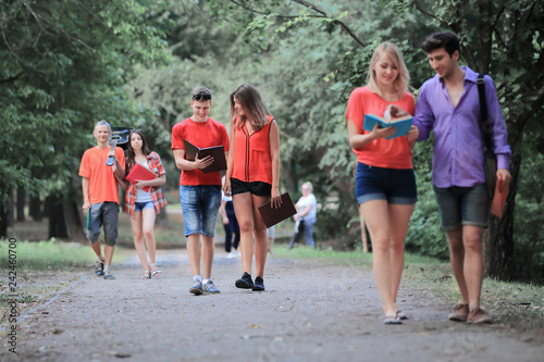 Fototapeta Naklejka Na Ścianę i Meble -  Group of College students on a walk in the Park
