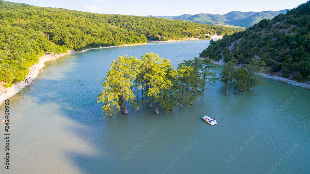lake with cypress trees