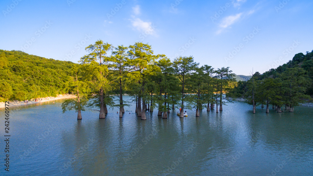 lake with cypress trees