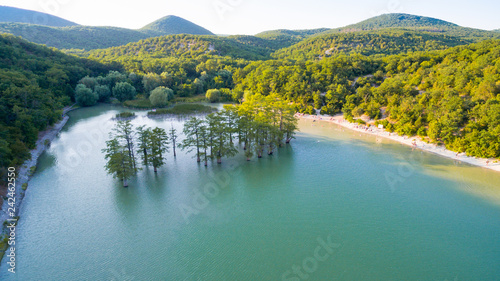 lake with cypress trees