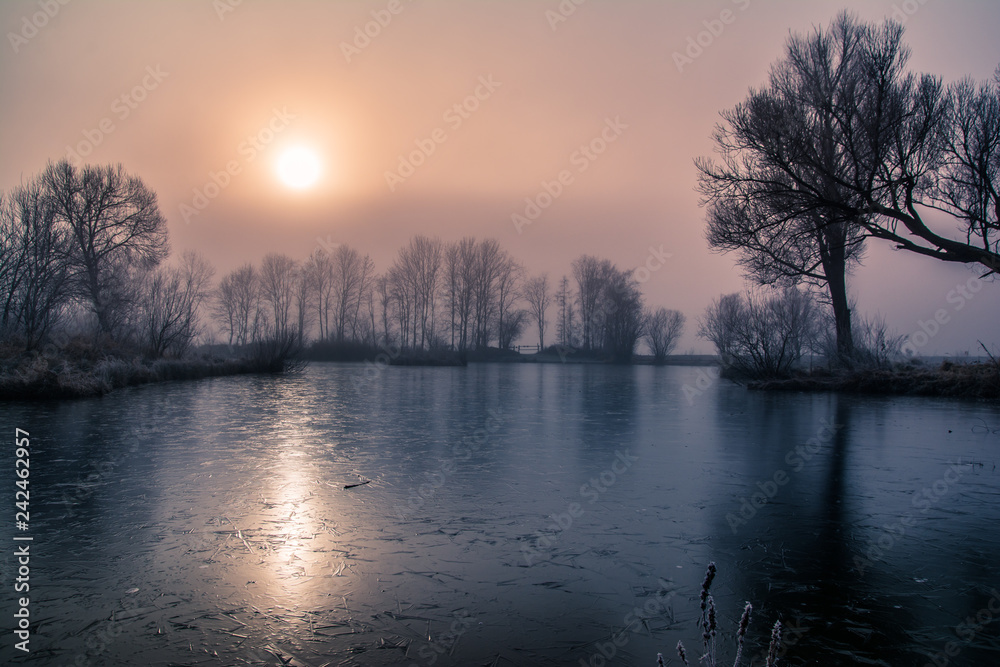 Sonnenaufgang im Wald