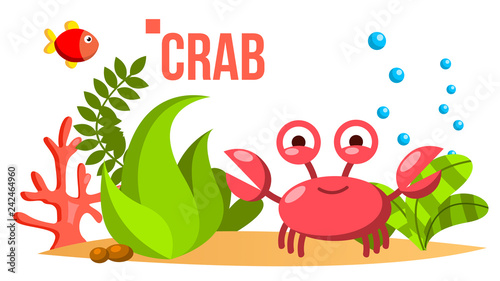 Crab Vector. Sea, Ocean Bottom With Seaweed And Fish. Isolated Flat Cartoon Illustration