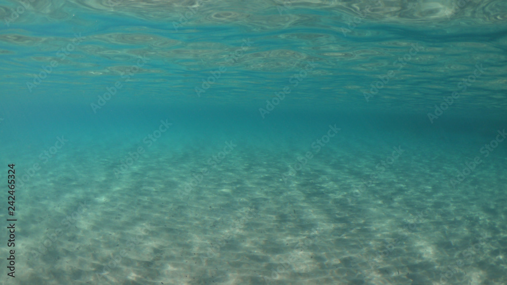 Underwater photo of super paradise beach with turquoise clear sea located in Greek island of Mykonos, Cyclades, Greece