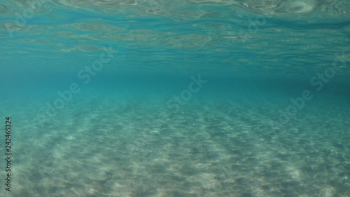 Underwater photo of super paradise beach with turquoise clear sea located in Greek island of Mykonos  Cyclades  Greece