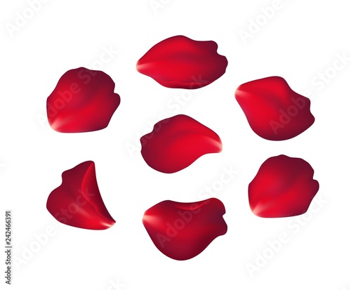 Falling red rose petals isolated on white background. Vector illustration