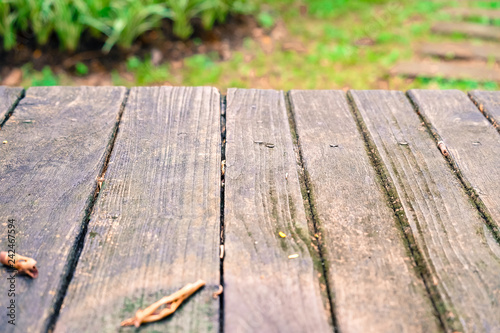 Old wood table in the garden with dried leaves on the surface and blur green garden background