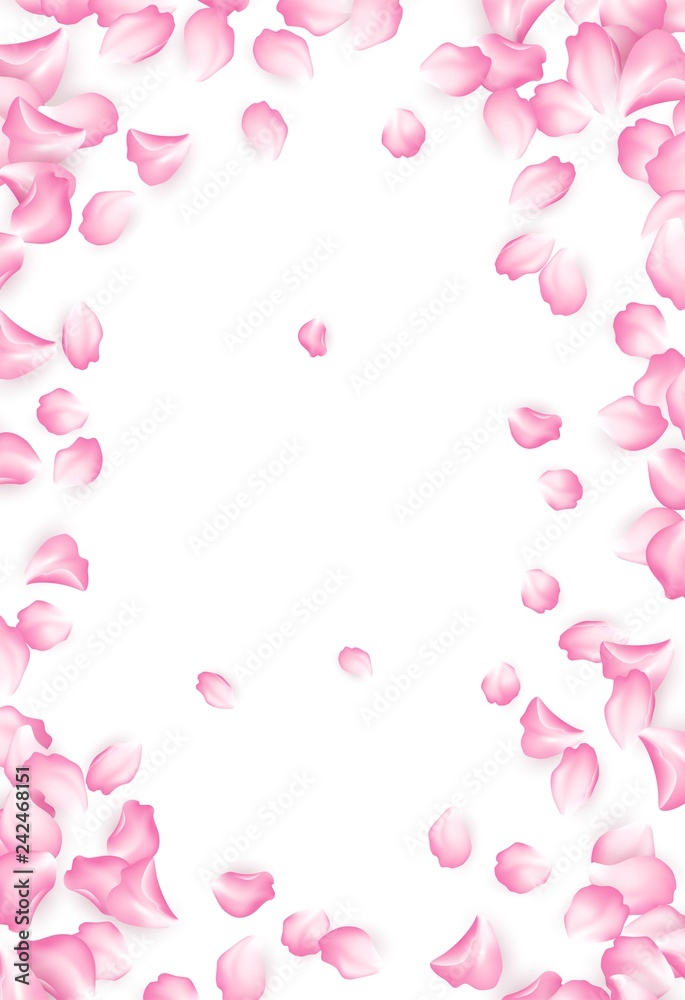 Falling red rose petals isolated on white background. Vector illustration