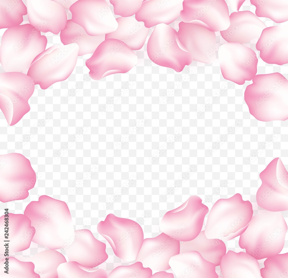 Falling red rose petals isolated on white background. Vector illustration