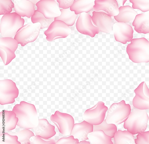 Falling red rose petals isolated on white background. Vector illustration © vik_y