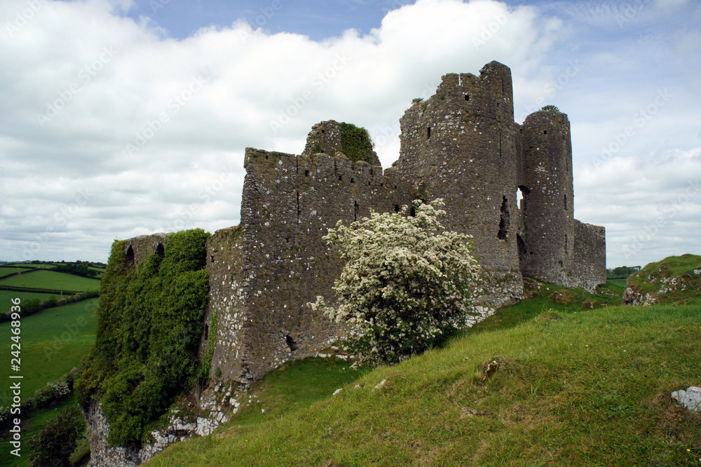 Ruins of the Roche Castle.Ireland.