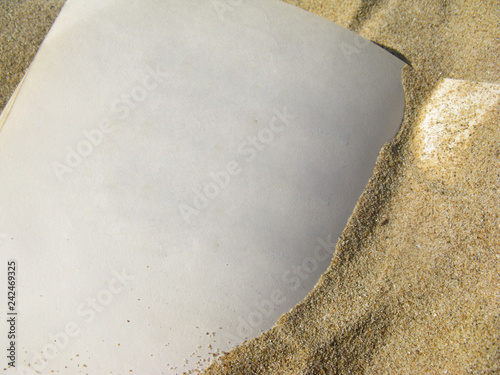 Empty yellowed pages of an old vintage notebook covered with small grains of sand and forgotten somewhere on a sunny beach by the sea. photo