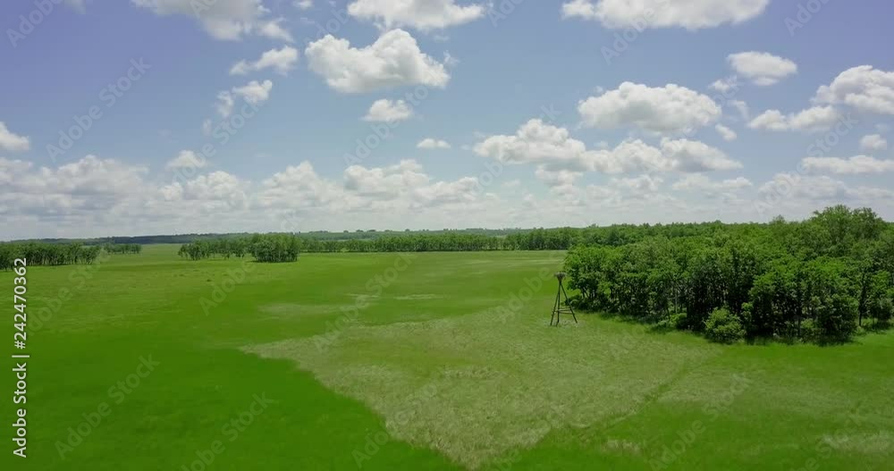 Flight over the quadcopter over a green meadow, over the plains with rare trees on a sunny summer day Flight over the quadcopter over a green meadow, over the plains with rare trees on a sunny summer day