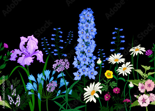 BorderÊwith Wild flowers. Seamless summer pattern with field flowers on black background. Floral background for printing wallpaper, paper, textiles, fabrics. Hand drawing sketch. Fashion illustration.