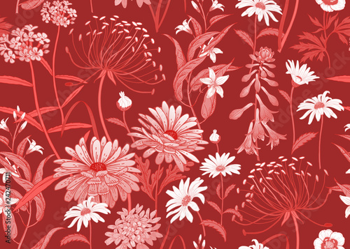 Seamless pattern with wild flowers. Red and white pattern.