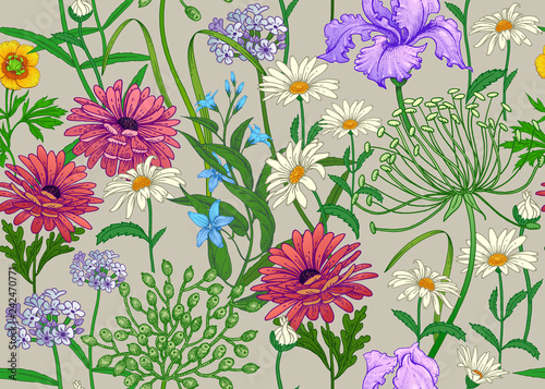 Seamless summer pattern with wild flowers.