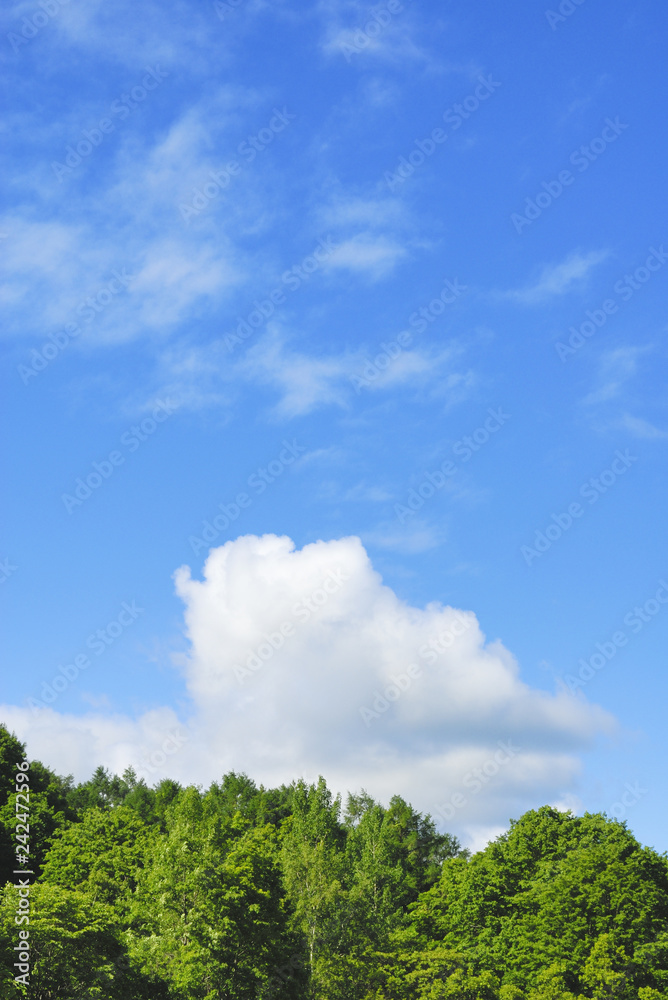 木　空　雲　素材