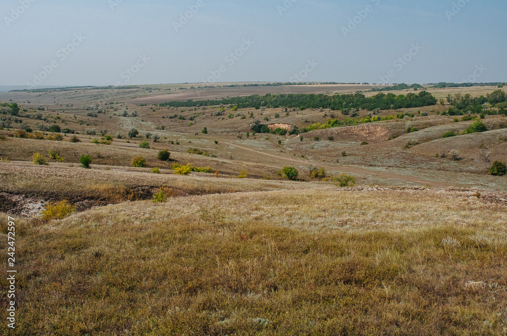 The steppe is woodless. Ravine in the steppe. Veld Ukraine. Forest of the steppe landscape. Forest formation. Poor in moisture. Grass vegetation in the dry climate zone.