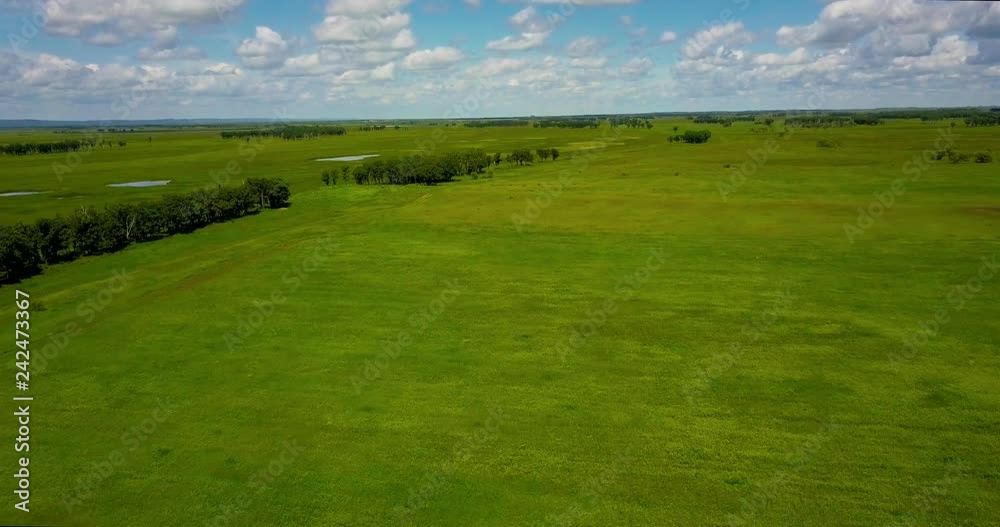 Flight over the quadcopter over a green meadow, over the plains with rare trees on a sunny summer day Flight over the quadcopter over a green meadow, over the plains with rare trees on a sunny summer day