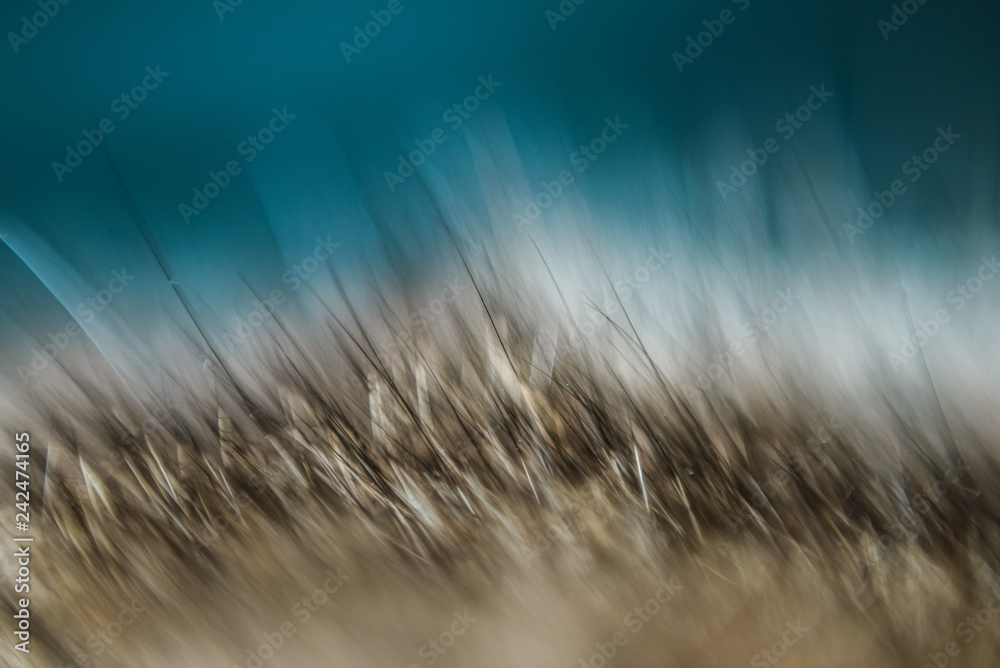 Cat fur macro up blurred tinted background color for various types of applications. Cat fur macro up blurred tinted background color for various types of applications.