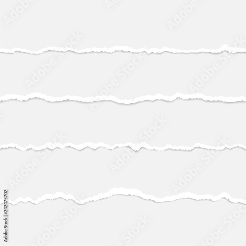 Vector realistic torn paper set on grey background. Horizontal stripes with a soft shadow. Torn Paper Edge. Vector illustration.