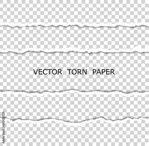 Vector realistic torn paper on transparent background. Torn Paper Edge. Horizontal stripes with a shadow.