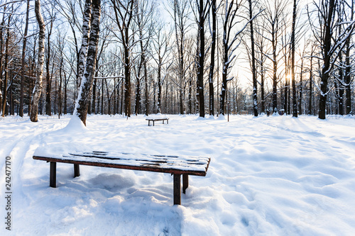 view of snow-covered bench in urban park in winter