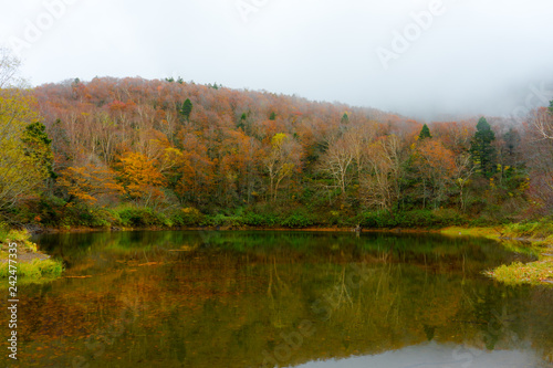 紅葉 もみじ 散歩 トレッキング クアオルト 湖 道 蔵王