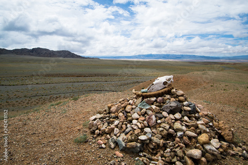 Teschio nel deserto della Mongolia