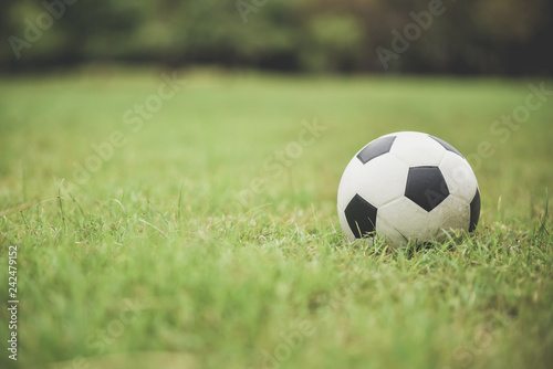 soccer football on green grass