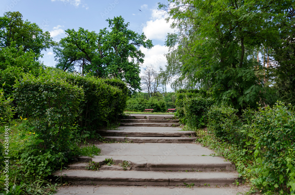 walking path in the park, benches for rest