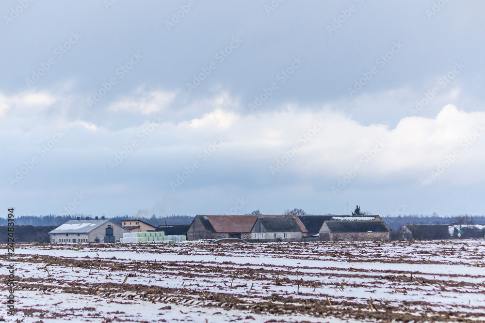 A bit of snow on arable land. Dairy barns. White and blue rolls of hay and silage near barns. The beginning of winter in Europe.