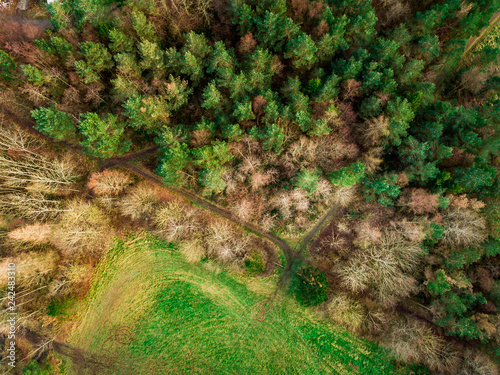 Aerial top view of winter green trees in forest in rural Wales. Drone photography