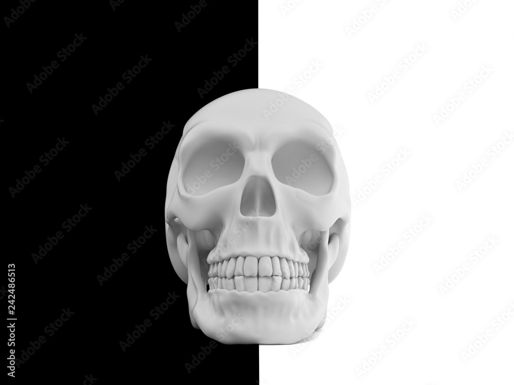 Obraz premium Skull on black and white background