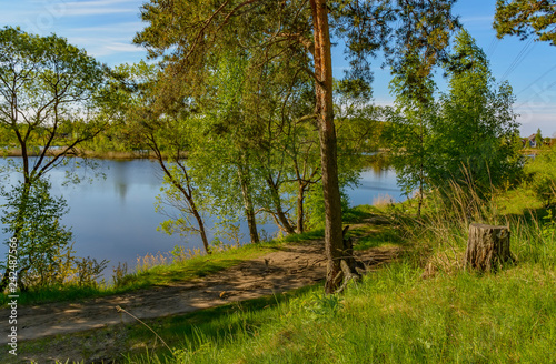 Sunny summer morning outside the city on the shore of a sandy quarry.