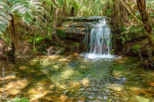 Small lake and river with transparent water between the rainforest vegetation in Carrancas  Minas Gerais  Brazil