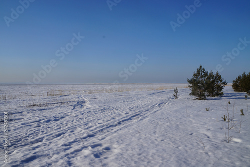 Seashore in winter