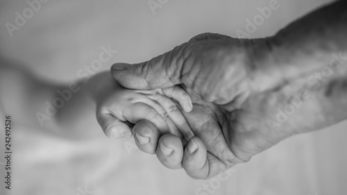 old grandmother hands holding newborn hands, fourth generation family life. black and white shot, the concept of a family and a new life into a selective focus photo