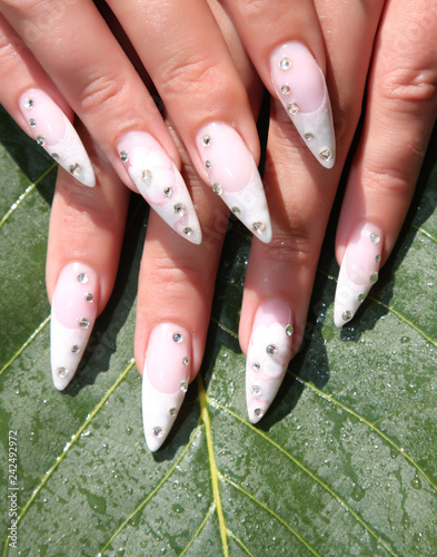 Long French nails with white manicure on a woman's hand.