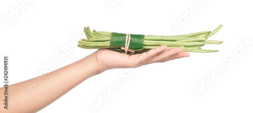 hand holding yardlong bean isolated on white background photo