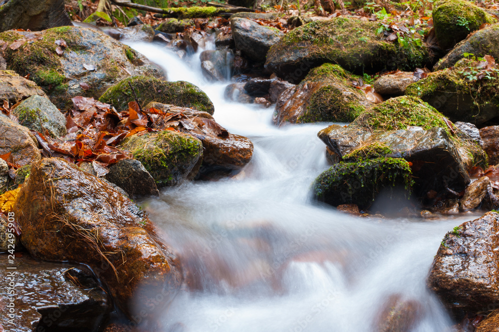 flowing water in the stream flowing water in the stream