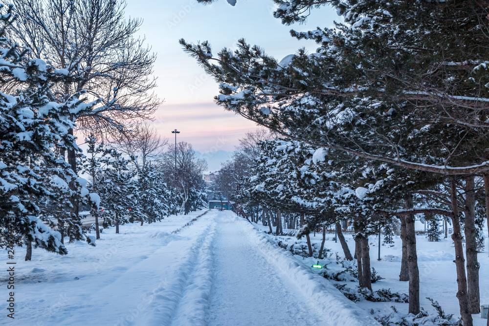 Walking path with snow in Erzurum during winter Walking path with snow in Erzurum during winter