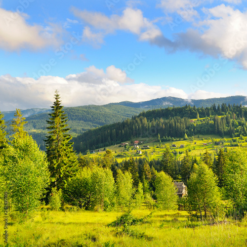 Slopes of mountains, coniferous trees and clouds in the evening sky. Picturesque and gorgeous scene. Location place Carpathian, Ukraine, Europe.
