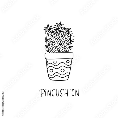 Pincushion cactus in decorative pot in doodle style with a handwritten title