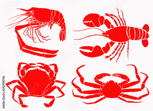 Graphical color sea-food set isolated on white background, vector illustration