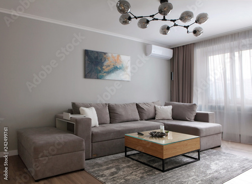 Grey corner couch with three pillows standing in bright living room interior with painting and carpet.Lightning off